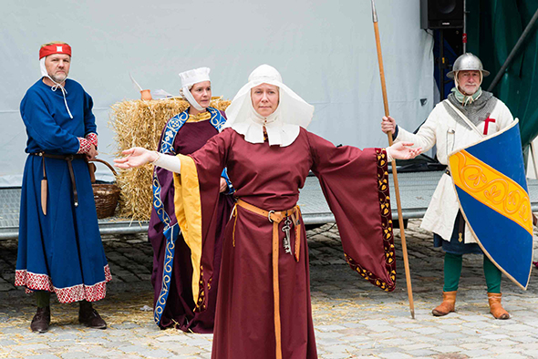 2014-Dillingen-Stadtfest 2 web