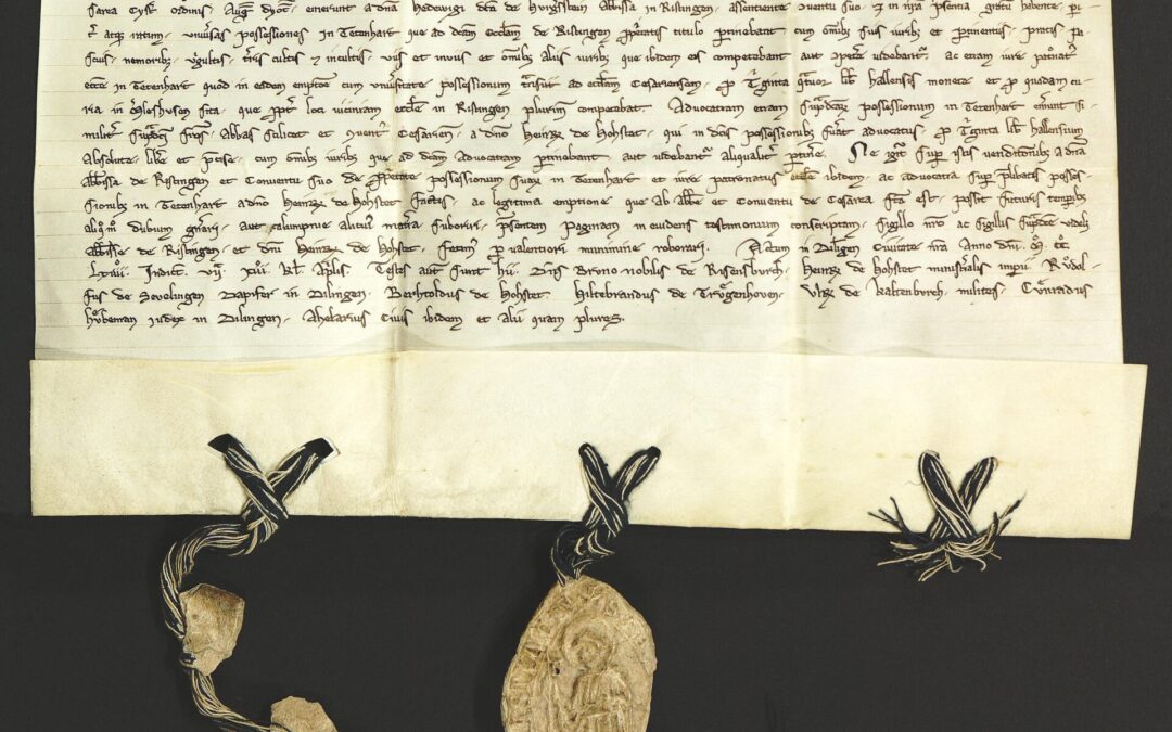 Urkunde mit Stadtnennung der Stadt Dillingen